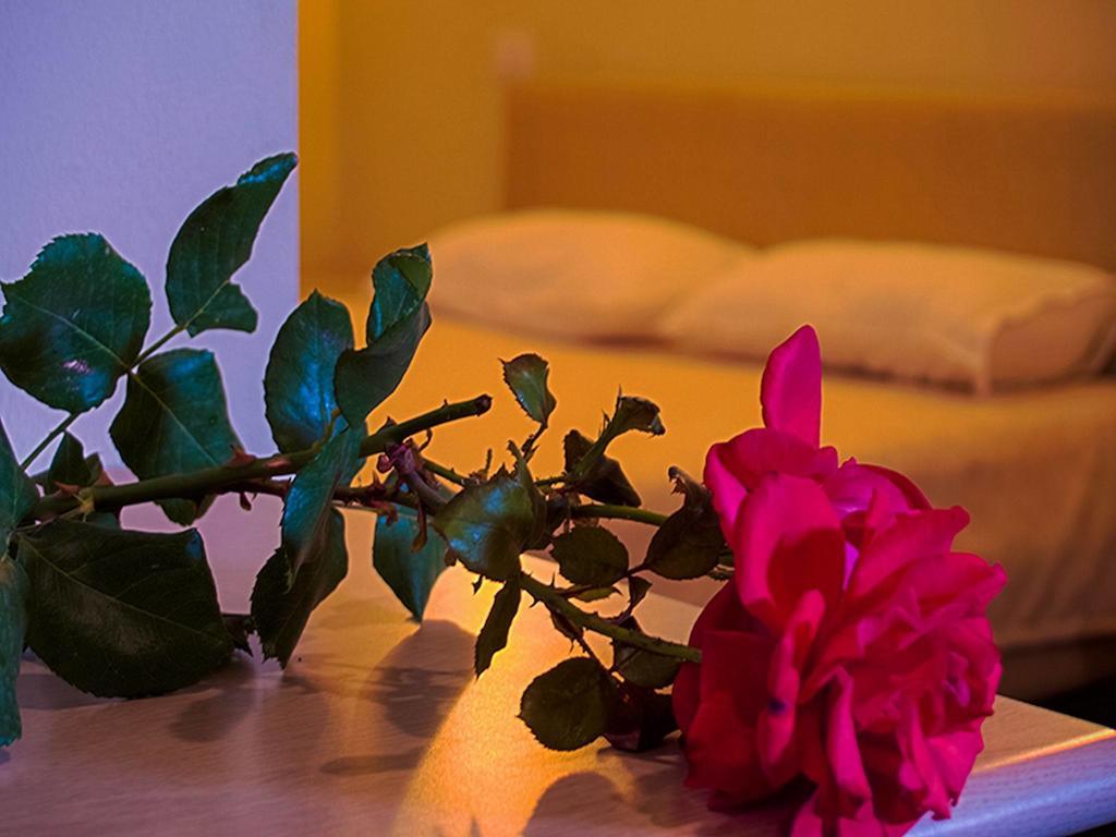 Kriva Resort Елбасан Екстериор снимка